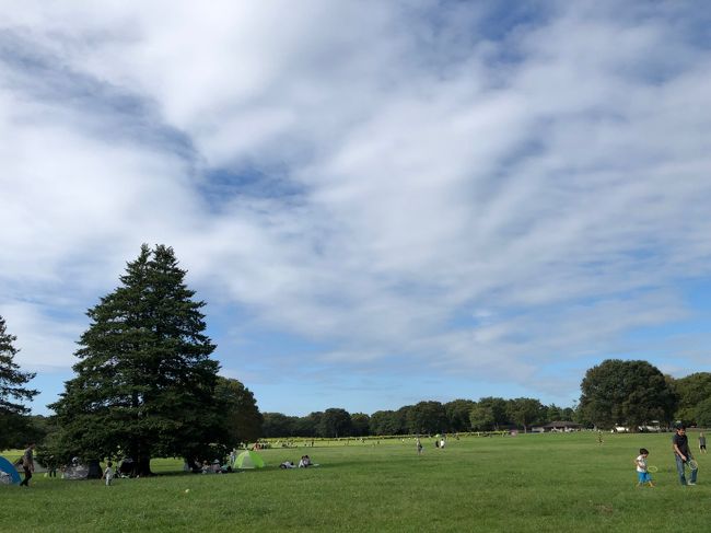 お天気が良かったのでお弁当を持って昭和記念公園に行ってきました。<br />子供たちがのびのびと走り回っているのを遠目で眺めながら・・・<br />雨の心配もありましたが雨にも降られずお花も咲いていて気持ちのよい一日でした。