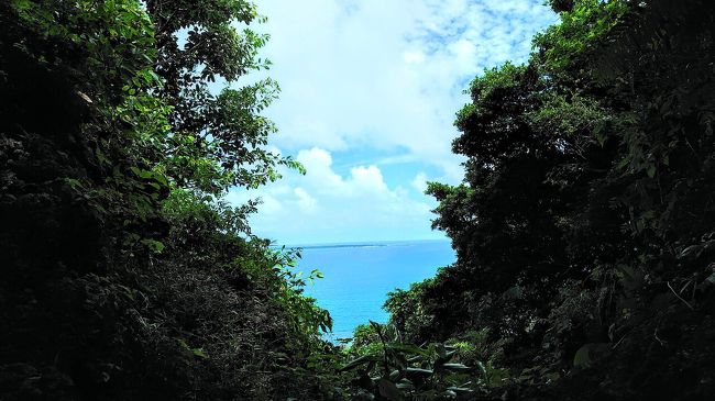 夏を少しでも感じようと、スカイマークの深夜便を使って訪れた沖縄。<br /><br />念願だった青の洞窟シュノーケリングも終わり、沖縄南部の観光へ向かいます。<br /><br />そこで待っていたのは、沖縄らしい大自然と美味しいグルメ。<br /><br />一日で沖縄をどれだけ楽しめるのか？<br />沖縄旅後半戦です。<br />