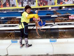 １４．お盆休みの釜山3泊　車チャーター観光　機張市場（キジャンシジャン）　テゲハウスの昼食   