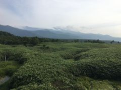 北海道横断の旅～摩周湖&知床五湖～