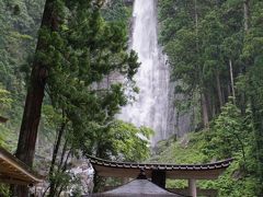 やっと来たよ！！世界遺産　熊野三山　一人旅　大門坂～那智の滝