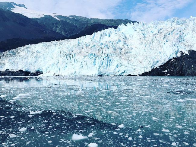 2019年8月28日から9月4日までのアラスカ旅行記。秋のはじめのアラスカはとても過ごしやすかったです。<br />私もフォートラベルの皆さんの旅行記を参考にさせてもらったので、自己手配旅行の方の参考になれば。<br /><br />8/28 成田→ヒューストン→アンカレッジ泊<br />8/29 アンカレッジ→スワード泊(キーナイフィヨルド国立公園エグジット氷河散策)<br />8/30 スワード港発キーナイフィヨルド国立公園氷河クルーズ乗船→アンカレッジ泊<br />8/31 アンカレッジ→フェアバンクスまでアラスカ鉄道で移動→フェアバンクス泊<br />9/1 フェアバンクス→ヒーリー泊<br />9/2 デナリ国立公園シャトルバスツアー→フェアバンクス泊<br />9/3 フェアバンクス市内散策、チェナホットスプリングス→フェアバンクス泊<br />9/4 早朝便でフェアバンクス発→シアトル乗換→成田9/5着