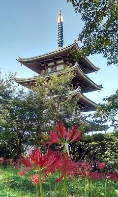 岳温泉　陽日の郷(ゆいのさと)あづま館　一泊一人旅　2019年　9月