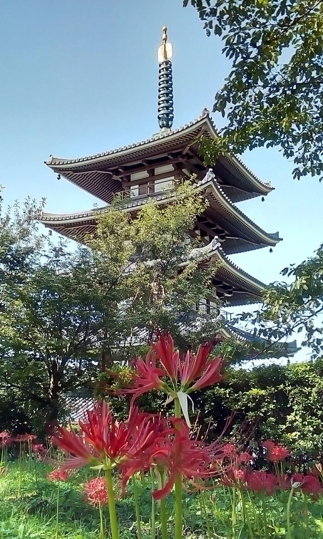 今月は月初に　実家の母と肘折温泉へ行きました<br />でもまだ二連休　平日にあるんだよね<br />でも資金が・・・　なんて迷ってたら<br />楽天ポイントが　10.000ぐらいに急に増えてる！?<br />調べたら　５月のなんかのキャンペーンポイントが<br />今頃付与されたらしい　なんだっけ？<br /><br />まあいいや　ではではまた温泉でも<br />でも　ぐずぐずしてたので<br />いつもの鳴子のビュッフェのお宿は　空いてません<br />では去年検討したけど　行ってないこのお宿へ<br />岳温泉は　泉質も好みだし<br />いつものビュッフェのお宿より　値段は張るけど<br />丁度オクトーバーフェストってのを　やってるらしく<br />飲み放題ビールが500円！　ってのが決め手です<br /><br />ライダー歓迎プランってのに　予約したのに<br />車で行くけど　大丈夫かな<br />一週間前の9月18日　11.880円のところ10.300ポイント使って<br />1.580円でポチっと予約<br />楽天トラベルさん　ポイント付与はなんかの間違いだったって<br />今さら言わないでね<br /><br /><br />