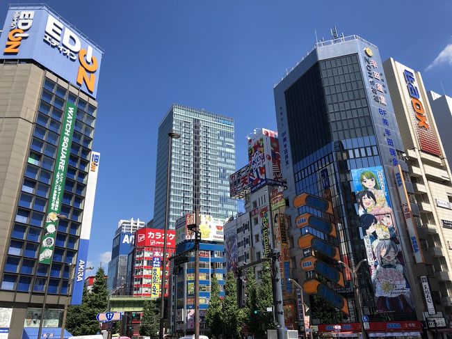 秋葉原をふらふらしました