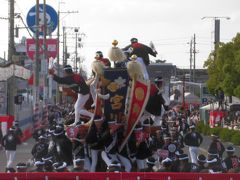 ド迫力の岸和田・春木だんじり祭り