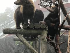 登別クマ牧場からの地獄谷