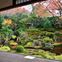 紅葉に染まる山里・京都大原の天台寺院巡拝記《Part.1》～勝林院・実光院・来迎院・宝泉院編～