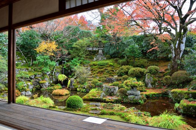 紅葉に染まる山里・京都大原に１泊２日の旅へ。<br /><br />2017年も11月に入り、各地の紅葉も最盛期に。<br />久しぶりに京都へ紅葉見物に出かけようかと思ったものの、大混雑する市街地はさすがに気が引けるので、バスで１時間ほどかけ「大原」へと足を延ばしてみることに。<br /><br />比叡山の西麓に位置する「大原」には天台宗系の由緒ある寺院が残り、これらの寺院を巡りながら、この週末くらいがちょうど見頃の紅葉狩りを楽しもうかと♪<br /><br />さてさて、紅葉に染まる洛北の山里はどんな雰囲気なんでしょうか？？？<br /><br /><br />〔紅葉に染まる山里・京都大原の天台寺院巡拝記 アウトライン〕<br />●Part.1（１日目）：勝林院／実光院／来迎院／宝泉院【この旅行記】<br />●Part.2（２日目）：三千院門跡／寂光院<br />　https://4travel.jp/travelogue/11549521