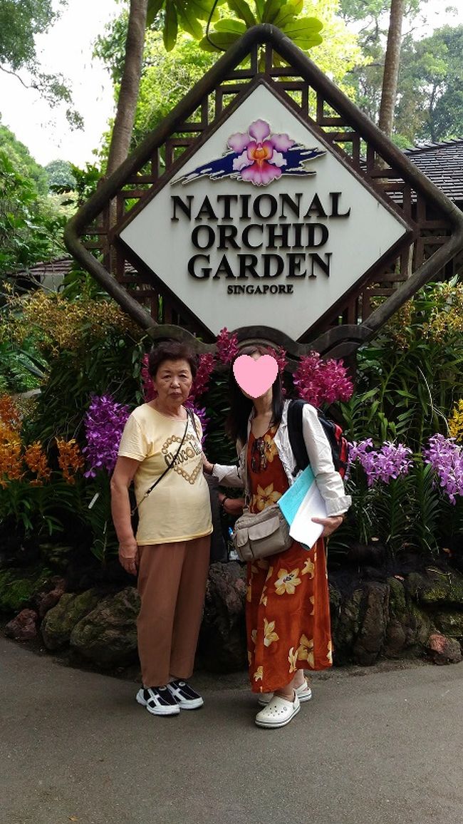 アラ還おばさんとその母のシンガポール旅行 その1<br /><br />上海で乗り継いで 9月15日 5:30 シンガポールT3に到着<br /><br />夜行便にもかかわらず元気?な2人の交通手段はEZ-linkカード<br /><br />MRTでチャイナタウンにあるフラマシティーホテルへ<br />無料アーリーチェックインだと景色が良くない部屋になると言われたので、<br />午前中観光に出かけている間に、見晴らしの良い部屋を準備してもらう。<br /><br />2階建て174番バスにてシンガポール植物園へ行き,<br />モデル気分で撮影会を楽しむ。<br />蘭園入園料は1人5ドル→1ドルに??<br />シニア割引と言われたが、私もシニアに見られたのかな??<br />いやシニアの付き添いも割引があったんだと勝手に解釈しています((^^ )<br /><br />帰りは2階建て106番バスの2階席の一番前を陣取り、オーチャード、ラッフルズホテル、富の噴水、シンガポールフライヤー、マリーナベイサンズと車窓観光してベイサンズ下車。<br /><br />MRTでチャイナタウンへ行き、昼食にヨントーフを食べてホテルにチェックインするまでの旅行記です。<br />
