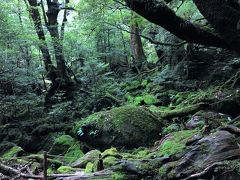 夏旅2019 屋久島 2/3 ～白谷雲水峡トレッキング～