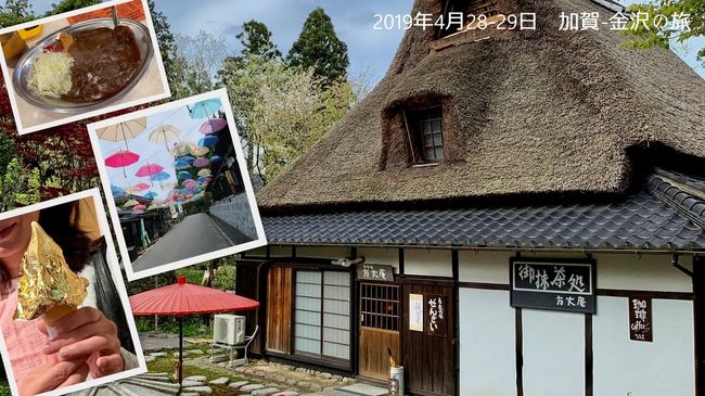 4月のある日、カード会社から「一日だけの別荘オーナー体験」なるDMが届いた。<br />1人一泊二食付きでたったの500円<br />(GW期間は一人¥2000)<br />”怪しい。これ行ったらアカンやつやな。<br />もし行ってしまったら、別荘の購入を強要されたり、後追いセールスがしつこいやつや”<br /><br />いつもならスルーする内容なのだが、いかんせん今年のゴールデンウィークは10連休もある。なのに我が家はノープランだった。<br /><br />パンフレットをよく読むと、「抽選で」となっていた。<br />なるほど、抽選に当たった人だけお安く体験できると言うことね。<br /><br />くじ運悪いから当たるわけないね~、ならば敢えて激戦であろうGW期間で応募してみましょう♪<br /><br /><br /><br /><br />