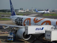 成田で乗り換え。飛行機をゆっくり観察できました。