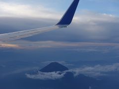 ボーイング737-800に乗りました。NRT-NGO NH493。17:05発。富士山がよく見えました。