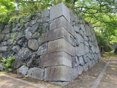 2018春、兵庫と京都の日本・続日本百名城(6/14)：篠山城(6)：天守台、青山神社、鳥居