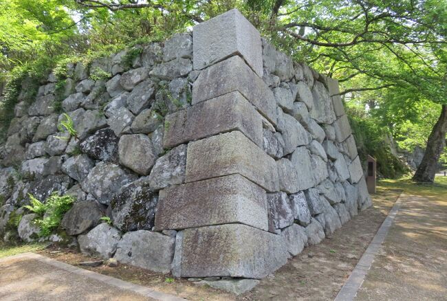 2018春、兵庫と京都の日本・続日本百名城(6/14)：篠山城(6)：天守台、青山神社、鳥居