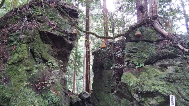 ずっと気になっていた、室生龍穴神社へ参拝。<br />桜井から国道165号線を経由し28号線で30分程で到着。<br />室生寺から10分程走ると、左手に室生龍穴神社が見えてきます。<br />神社には駐車場がないので、みなさん路駐していました。<br />鳥居をくぐると広い空間があり、その奥に本殿があります。<br />この神社だけでも御利益はあるのですが、実は神社から上流に1㎞ほど走り、山道を5分ほど登ると、龍が棲んでいると言い伝えがある吉祥龍穴あります。<br />山道はかなり急な坂で落石や道路が陥没している箇所が沢山ありますので、運転には注意が必要です。<br />吉祥龍穴にも駐車場がありませんが、車を停められるスペースがありました。<br />小さな鳥居をくぐり、舗装された階段を50段ほど降りると小さな小屋があり、そこの中から龍穴を見ることが出来ます。<br />穴からはス～っ、ス～っと冷たい空気が流れており、今にも龍が姿を現しそうな気配がします。<br />龍穴から山道を少し下ると左手に、天の岩戸といって、大きな岩が祀られているところがありました。<br />この場所も強いパワーを感じました。<br /><br />室生龍穴神社の社務所が閉まっていたため、御朱印はいただけなかったのが残念でしたが、また回を重ねて訪れたいと思います。<br /><br />