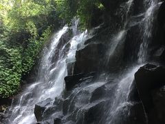 20代娘2人と父母☆初めてのバリ島3泊5日③