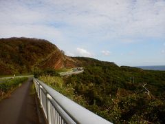 海も山も！！初上陸伊豆大島の旅