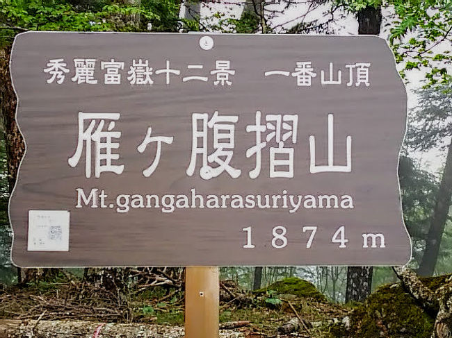 2019年6月8日、50年間思い続けた山に登りました。<br />25歳の頃、「大月駅」から徒歩で「雁ヶ腹摺山」に登ろうと勇んで歩いたが、途中で時間が足りなくなり引き返した苦い思い出があります。<br />今、ガイドブック等調べると、このコースは往復10時間以上掛かるコースのようです。<br /><br />この度、友人のマイカーで、「大峠」まで行き、登り1時間、下り50分の「楽ちん登山」が実現しました。<br /><br />