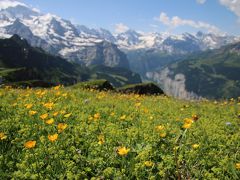 スイス個人旅行⑦  0704  グリンデルワルド2(メンリッヒェン)