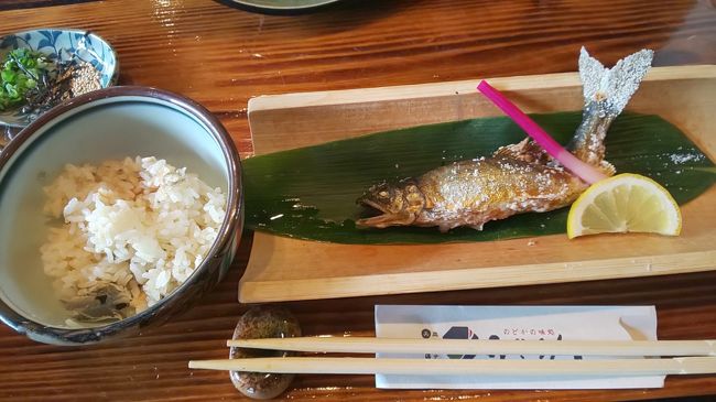 郡上で鮎を食べ、長良川鉄道の観光列車ながらに乗車、郡上おどりの郡上八幡とうだつの町美濃の町並み散策をするバスツアーに参加しました。