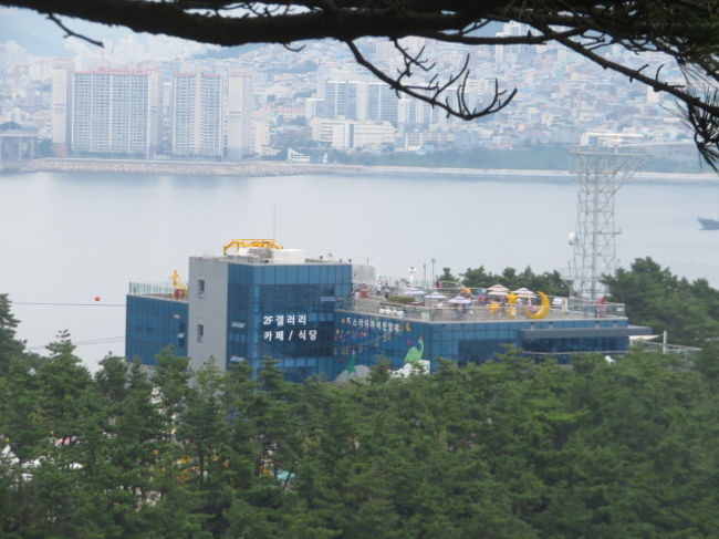 釜山の岩南公園（アムナンパーク）を散策しました、松島海岸・海水浴場から岩南公園までの海岸沿いを歩くことが出来るカルメッキル海岸遊歩道を歩いて岩南公園にある大駐車場に着きました、海岸で釣りをしている釣り人が多くいました。<br /><br />大駐車場から松林の中にある階段を昇り松島海上ケーブルカー（ゴンドラ）の発着場になっている松島スカイパークに着きました、展望台や飲食施設がある松島スカイパーク内を見てから周辺を歩きました、公園内や展望台を歩いて見ました、日曜日なので家族連れが多く来ていて賑やかでした。<br /><br />帰りは大駐車場入口か路線バスを利用して南浦方面に戻りました。