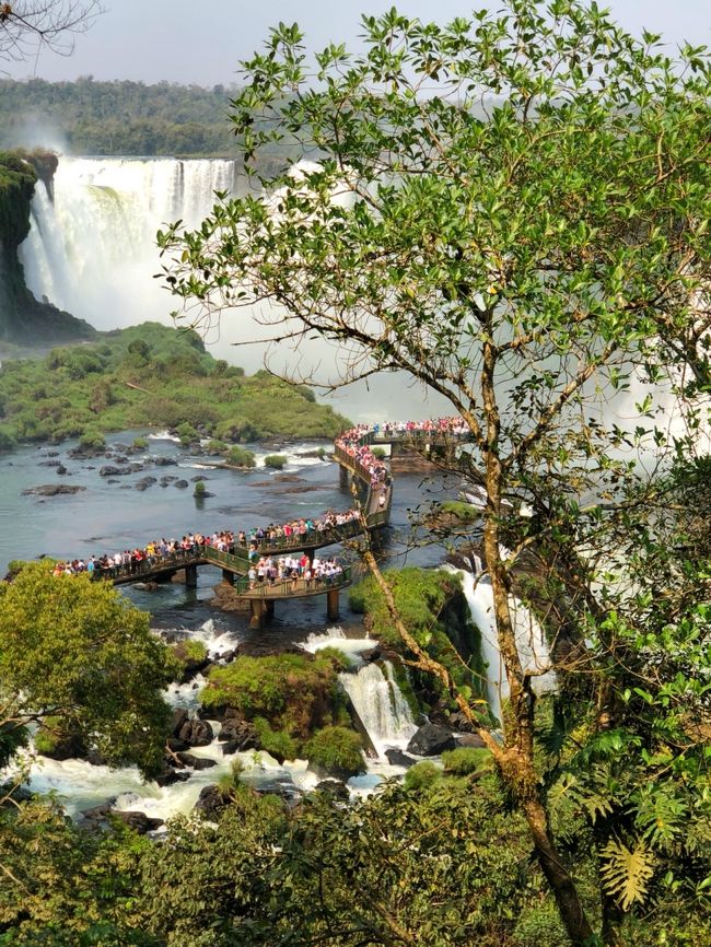 2019年の夏休みはブラジル旅行。<br />メインはリオデジャネイロだけど、サンパウロをチラ見してイグアスの滝も見てきました。<br /><br />サンパウロもリオも治安が悪いといわれているので、結構ドキドキしながら向かいましたが、特に何事もなく過ごせました。<br />ただし、観光地や繁華街やビーチでは一見治安が悪い感じはしませんが、いつもより色々気を付けたおかげかと思います。<br /><br />一眼レフは封印、スマホはやたら出さず、路地裏探索が大好きだけど今回は封印して人通りが多いところだけを歩き、夜は無駄に歩かない、お買い物したらエコバッグに入れ替えてタクシーで帰る、という具合に。<br /><br />色んな人の旅行記やブログに注意事項が書いてあるので、それを守って悪い人に狙われないようにすれば、楽しく過ごせると思います。<br />普通のブラジル人はいい人ですから。<br /><br />日程<br />9/14 JALで18:35成田発→NY ①<br />9/15 サンパウロ着①<br />9/16 サンパウロ→イグアスの滝①<br />9/17 イグアス→リオデジャネイロ②<br />9/18～9/20リオデジャネイロ滞在③<br />9/21 エミレーツ2:55リオ発→ドバイ③<br />9/22 17:30成田着