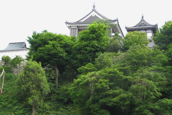 兵庫と京都の名城巡り、福知山城の紹介の締め括りです。往きは、福知山駅から最短コースで福知山城に向かいましたが、帰りは、寄り道をしながら、福知山城下町の散策を楽しみました。