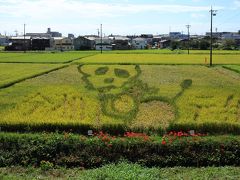 2019年　半田市矢勝川の彼岸花