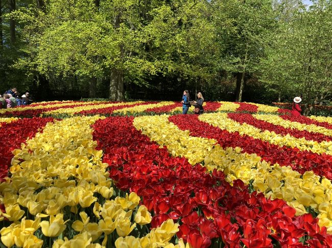 2019年GW オランダ・フランス・ドイツに行って来ました。Part .2.オランダ②キューケンホフ公園。