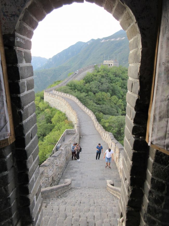 　2014年に北京へ行き八達嶺長城の田中角栄元総理が歩いたという場所をツアーの時間に追われながら歩きました。「もう一度ゆっくりと万里の長城を歩きたい」という父親の希望を聞いてＴＤ兼ガイド兼ＭＤの長男が慕田峪長城を歩く旅の計画を立ててくれたので行くことにしました。しかし・・・、私は出発の５日前に不覚にもバレエのレッスンでターンのジャンプの着地で足を強打してしまい、右足膝の痛みがひどく、医師の診断の結果滑膜炎。渡航が難しいかと思われました。歩くどころか見ることさえもかなりきつい状態でした。しかし、せっかくのチャンスです。逃したらもう二度と個人で行くことはないかと思います。<br />　長男は「滑膜炎なら時間の問題」というので、杖とハードサポーターとロキソニン錠剤（鎮痛剤）とロキソニンテープ（消炎鎮痛テープ）を使って慕田峪長城を見る旅に出かけました。<br />　行ってみると北京では中華人民共和国７０周年の祝賀を天安門で行う予行練習のために周辺の道路と地下鉄１、２号線は封鎖の時間帯があり、ホテルニューオータニのある２号線の建国門駅も同様に時間帯によって封鎖という想定外の状態に遭遇し、渋滞と遠回りのかなり困難を伴う旅になりました。日程的にタイトな旅でしたが心配していた足は保ってそれなりに楽しむことができました。<br />　日程　９月２１日　ＪＬ０２１便　北京着　慕田峪長城<br />　　　　９月２２日　天津市内　キエフ号見学　五大道　鼓楼　<br />　　　　９月２３日　廬溝橋見学　ＪＬ０２２便　羽田着<br />この旅行記は慕田峪長城を旅した日の記録を記しました。