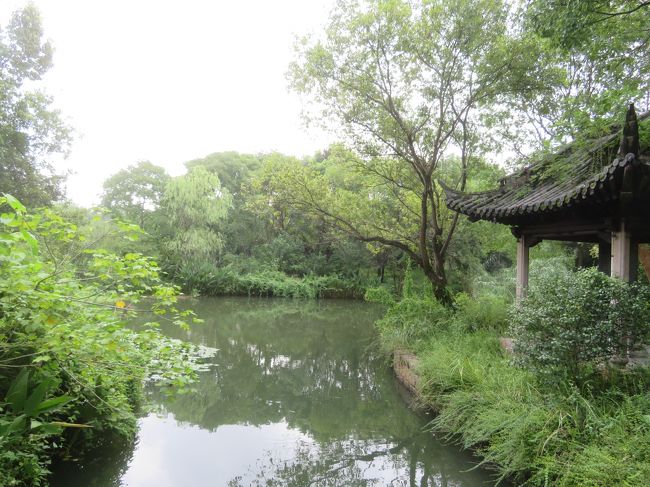 西湖の何倍もの大きさの西渓国家湿地公園を１日で歩いて回るのは所詮無謀な計画で早々に挫折した♪2019年９月中国 杭州７泊８日(個人旅行)１４