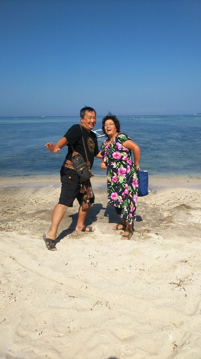 2019 まうまう流サヌール攻略 お金の話