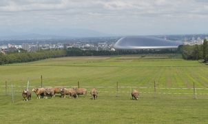 灯台もと暗し　札幌市内のミーハー観光（２）