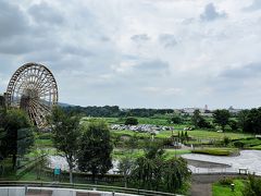 2019.8.21 島田醤油店+川の博物館、ＪＡ花園、蕎麦屋「原」、ＡＢＣマートｱｳﾄﾚｯﾄ店