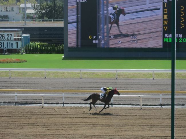 船橋競馬場へ。<br />初めての競馬体験でしたが、なかなか楽しかったです。<br />