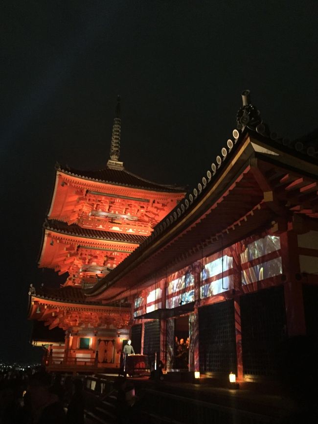 本乙は京都でゆっくりしたかったのですが、紅葉シーズンのしかもライトアップ時期に直前で宿を抑えようなんて甘い考えで・・笑<br />大阪にホテルを抑えつつ、日帰り京都にチャレンジしましたが、ライトアップのため観覧時間も延長されていることもあり、思いの外楽しめた1日となりました。<br /><br />※ライトアップ時期は各寺院によって異なる場合がありますので、各々行きたい場所の確認は必須です。<br /> 参考にしたHPは下記となります<br /> 京都紅葉ライトアップ案内<br /> URL:<br /> http://www.imamiya.jp/haruhanakyoko/season/clightup.htm<br /><br />ゆっくりするにこしたことはありませんが、もし大阪旅行をお考えの方も足を伸ばしてみてはいかがでしょうか?