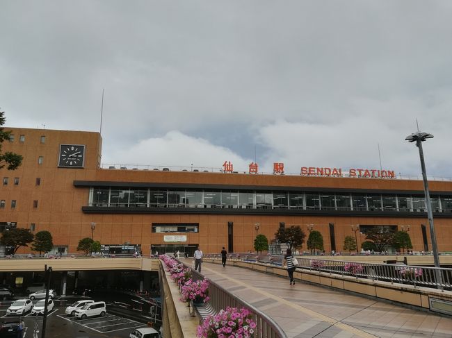 仙台へ出張してきました。<br />旅行ではなくまた出張ですが。<br />土日は地元へ戻ることになり、ホテルと仕事現場の往復のみで全く観光できなくて残念無念・・・。<br /><br />でもまぁ牛タンと気になっていたホヤを堪能できたことだけでもよしとしようかな。<br />利久さんで牛タンをいただきました。塩味も効いていて肉厚で美味しかったです。地元の牛タンは薄くてぺらっぺらなもので。<br />ホヤは最初の店で食べたのは、失敗でした。店によって当たり外れがあって、外れると嫌いになるよと、教えてもらっていたのに外れてしまい、撃沈。<br />ただ、別の店で再チャレンジしたら、なんということでしょう!全く違う味じゃないですか!!ナニコレめっちゃうまい!!日本酒に合うと聞いていた通り日本酒が進んでしまいました。当たりの店でのホヤはなんとなくカキに似た風味でした。<br /><br />宿泊先はホテルグリーンパシフィックとR&Bホテルでした。<br />どちらも安価で良かったです。<br /><br />ホテルグリーンパシフィック<br />古い感じがかなりあり、きれいとは言い難いです。<br />朝食は中華メインで、安価な割には個人的には大満足でした。<br />仙台駅徒歩5分ほど、コンビニとも近いので立地は〇です。<br /><br />R&Bホテル広瀬通り前<br />中も外もきれいでした。快適に過ごせました。<br />朝食はパン4種類の食べ放題とスープバーのみ。<br />仙台駅は徒歩圏内ですが10分ほど歩きました。コンビニはすぐ近くにあります。<br /><br />ホテルの良さって、きれいさで選ぶかご飯の内容で選ぶかで分かれるかもしれません。<br /><br />こんな感じで観光できずに終了です。<br />松島とか気仙沼の方までに行ってみたかった・・・。<br />