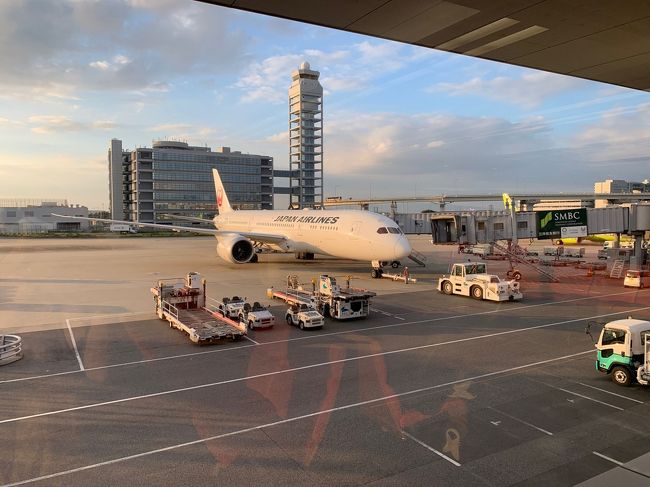 JAL060便: 17:45 関西国際空港発　→　12:35 ロサンゼルス着<br />AA2307便: 15:31 ロサンゼルス発　→　16:42 ラスベガス着<br /><br />AVISでレンタカー後、ホテル到着。<br />アメリカお肉類持ち込み規制につき、お肉類を持ってこれなかった為、日本スーパー『Nakata Market of Japan』にてレトルトカレーと塩カップラーメンを購入。<br />Monta Ramenで夜ご飯。<br />