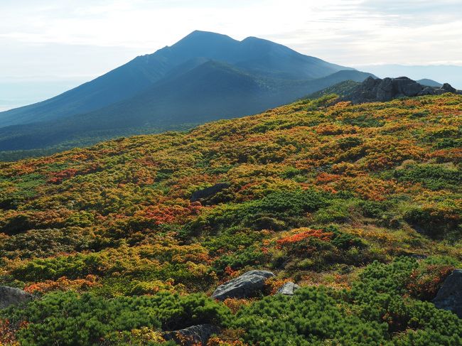 今年の紅葉旅行は八幡平と三ツ石山へ行ってきました。2017年にも訪れていますが、八幡平は曇り空、三ツ石山の紅葉は綺麗でしたがピークから少し遅れたのに加え、時間切れで馬蹄縦走コースで松川温泉に下山。そのリベンジ登山の旅です。宿は前回もお世話になった松川温泉の峡雲荘さん。天気予備を含めて自炊部に3連泊しました。<br /><br />その2。三ツ石山から裏岩手縦走編。まず裏岩手縦走路とは…。<br />八幡平から南延びる稜線に連なる山々（畚岳、諸桧岳、嶮岨森、大深岳、小畚山、三ツ石山）を結ぶコースを裏岩手縦走路と呼んでいます。累計標高差は800ｍ弱ですが全長17kmを超えるロングコース。ツアーなどでは藤七温泉（もしくは八幡平頂上バス停）からスタートし、途中の避難小屋で1泊するコースですが、今回も松川温泉から出発し1日で藤七温泉まで歩き、散策バスで松川温泉に戻る計画です。<br /><br />前回は4時半出発でしたので、さらに1時間早く3時半過ぎに出発。まず三ツ石山の紅葉見物。今年は少し遅れておりまだ色づき始めでしが、ほんのり赤く染まった木々と雄大な景色を堪能。そこからは随所に色づいた紅葉を見ながらの縦走。小畚山、大深岳、嶮岨森、諸桧岳と歩き進めるに連れ、次々を移り変わる景観を楽しみました。そしてラストの畚岳からはご褒美とも言える360°の絶景が待っていました。