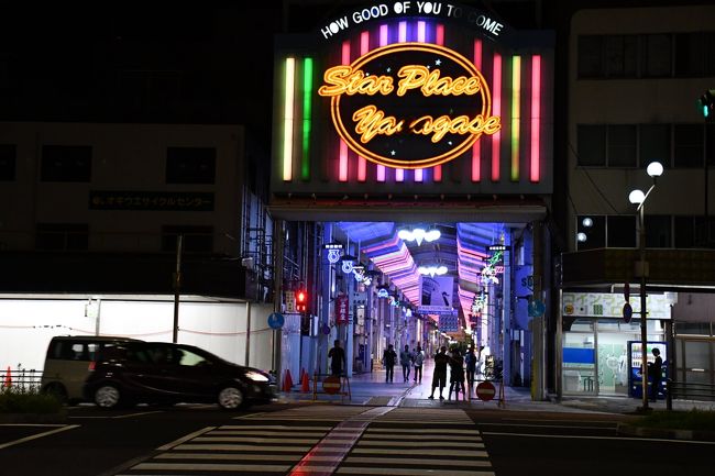 岐阜駅前から柳ヶ瀬商店街にかけての旅行記です。三十年ぶりぐらいで岐阜市を訪れました。東海道線岐阜駅が大きく変わった気がします。全国どこも同じようですが、高架化された駅舎は味気ないですね。柳ヶ瀬商店街は往時のことは知りませんが、賑やかさに欠けるという印象を持ちました。