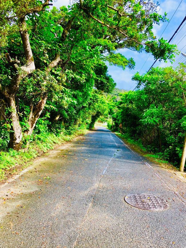 奄美大島から船で20分の離島&#8252;️