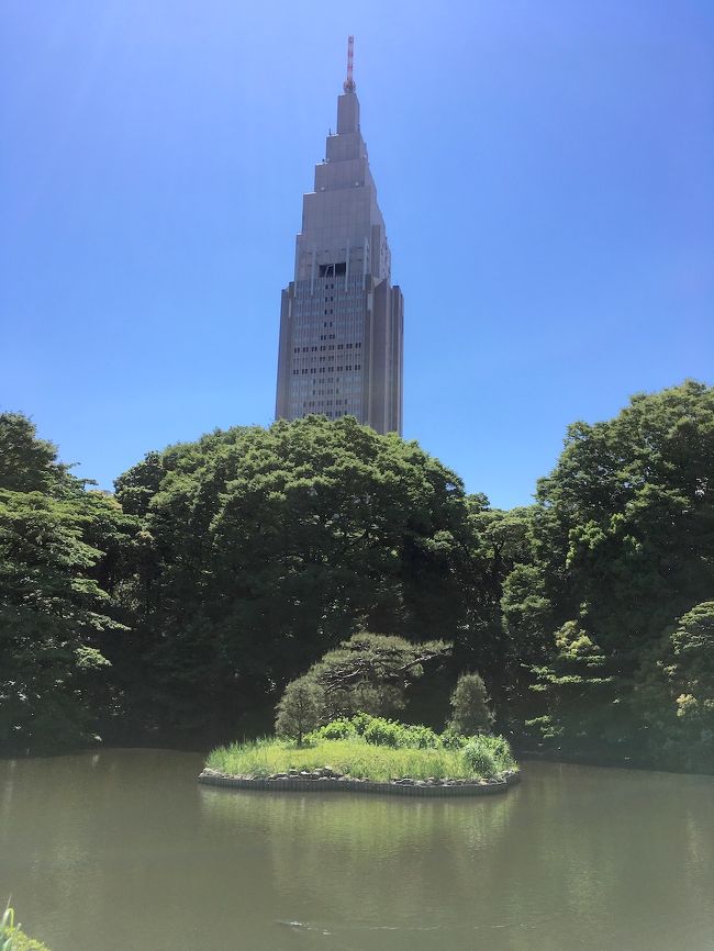 2018年5月、都会の中の自然・新宿御苑に行ってきました。<br /><br />前の年の暮れ、新宿で行こうと思っていたカフェがお休みでした。<br />そこに行こうと思いつつ、水辺の街にも行こうと思っていました。<br /><br />新宿駅の近辺を地図で見てみると、右下あたりに水色のエリアが。<br />それは新宿駅から徒歩圏内にある、新宿御苑の池でした。<br />というわけで5月は新宿のカフェと御苑に出かけることにしました。<br /><br />御苑には、上の池、中の池、下の池、玉藻池の4つの池があります。<br />敷地内には植物園もあり、珍しい植物や、人工の滝も見てきました。<br />