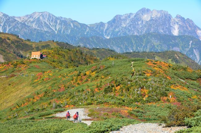 今シーズン3回目の北アルプスは後立山連峰の鹿島槍ヶ岳をチョイス。<br />一人テント背負って絶景を満喫してきましたー<br /><br /><br /><br />コースタイム<br />【1日目】<br />柏原新道登山口5:31→8:44種池山荘8:59→9:46爺ヶ岳南峰9:54→10:06爺ヶ岳中峰10:14→11:21冷池山荘11:53→12:00冷池山荘テント場12:47→14:09鹿島槍ヶ岳14:42→16:06冷池山荘テント場(泊)<br />【2日目】<br />冷池山荘テント場6:47→6:53冷池山荘7:02→8:46種池山荘9:02→11:06柏原新道登山口