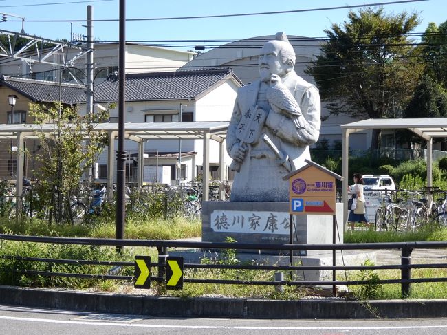 愛知は知多半島ドライブと茶臼山に行っただけで、まったく頭の中に地図が浮かびません。<br />そう、、、行きたい場所はいっぱいあるのですが、同居人と折り合いがつかないのです。<br /><br />美術館、陶器や瀬戸物、史跡巡り（私は好き）←これらに興味が無く鉄道だけに反応。<br />過去に京都の鉄道博物館に丸一日拘束されたことがあり　名古屋の鉄道博物館や天浜線の天竜二俣駅の洗車体験などは個人で行ってくださいとお願いしています。<br /><br />私は名古屋に泊まって「徳川美術館」や「ノリタケの森」に行きたいのですが、いつか行けるのかな？　　蒲郡は良かったので　ちょっとずつ　愛知の旅が増えるかも！！<br /><br />この旅行の当初の観光予定は竹島神社でしたが、暑すぎて義母には無理。<br />そんなわけで、道の駅巡りに変更しました。ドライブはOKなのです。。<br />　<br />でもまったく土地勘が無いので　カーナビに案内してもらいました。<br />宿を出発し、「筆柿の里・幸田」→「にしお岡ノ山」→「デンパーク安城」→「藤川宿」の順で寄りました。スタンプを押したりお昼を頂いたり。サラッと立ち寄っただけ。<br />デンパーク安城や藤川宿などは、穏やかな季節の時に散策してみたいです。<br /><br />エクシブ浜名湖では入り口が立派になっていたのにびっくり。<br />でも　間違うといけないので　以前のルートから向かいました。(^^;<br /><br />夕食は中国料理、朝食は和食。ラウンジではベイコートで躊躇したマスカットを頂く。<br />チェックアウトの時、お土産として買った三ケ日みかんのゼリーが絶品でした。<br /><br />帰路は台風と追いかけっこ。午前中は晴れてましたが、関東に向かう車が多かった！<br />途中から風も強くなり　足柄SAで土砂降りになりましたが、２時過ぎには自宅到着。<br />どうにか間に合いました。<br /><br />この後　義母は一週間以上お粥生活。ちょっと動かしすぎてしまいました。(^^;<br />でも　ベイコートにはまた行きたいそうです。　１列完成、ビンゴ頑張ろう！