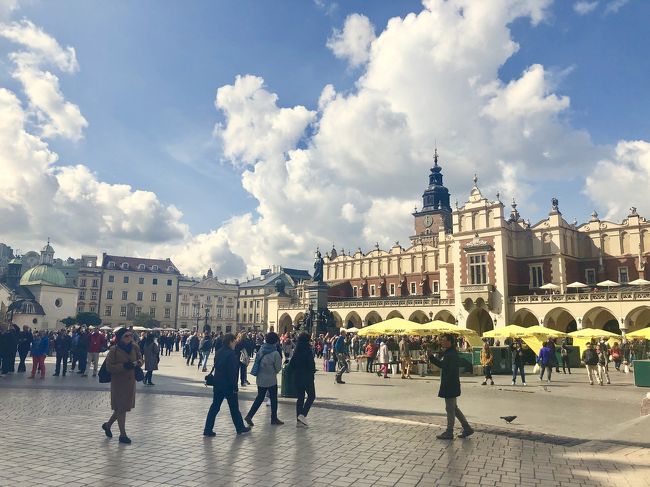 今年の夏は1週間のポーランド旅行。ずっと行きたかったので念願叶って嬉しかったです。<br />ポーランドって何があるの？なんて言われることがありましたが、1週間でも足りないくらい魅力的なところでした。<br /><br /><br />[2019/09/16 セントレア発 クラクフ着］<br />[2019/09/17-19 クラクフ］<br />         09/17 アウシュビッツ<br />         09/18 ヴィエリチカ  ヴァヴェル城  織物会館<br />                   ショパンコンサート<br />         09/19 クラクフ旧市街  聖アンナ教会  <br />                   聖ペテロ聖パウロ教会<br />                   シンドラーの工場  聖マリア教会<br />                   ↓EIPでワルシャワへ<br />[2019/09/19-22 ワルシャワ］<br />         09/19 ワルシャワ蜂起博物館<br />         09/20 ワジェンキ公園  聖十字教会  旧王宮 <br />                   聖ヨハネ大聖堂  バルバカン  <br />                   キュリー夫人記念館  新市街広場<br />                   ワルシャワ大劇場<br />          9/21 Chopin PASS<br />                 (ジェラゾヴァ・ヴォラ 聖ロフ教会)<br />                  ショパン博物館<br />[2019/09/22-23 ワルシャワ発 セントレア着］<br />