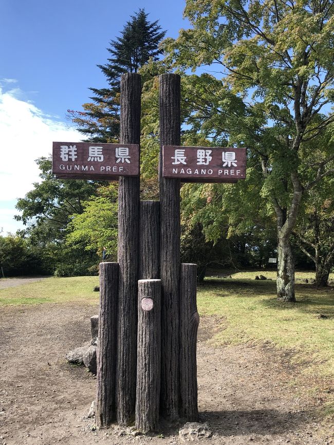 旧軽井沢入口手前の駐車場に車を停めて<br />聖パウロ教会からショーハウス記念館、旧碓氷峠遊歩道、吊り橋を渡って見晴台へ。約1時間30分の森林浴ハイキング。下りは同じ道を歩いて45分。<br />ゴール後は、予約のみの十割蕎麦店へ。