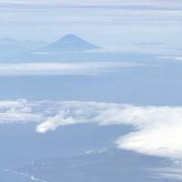 沖縄→宮崎羽田空港ホテルリリーフプレミアム宮崎観光ホテル宮崎鷄焼とさか　札幌海天丸　