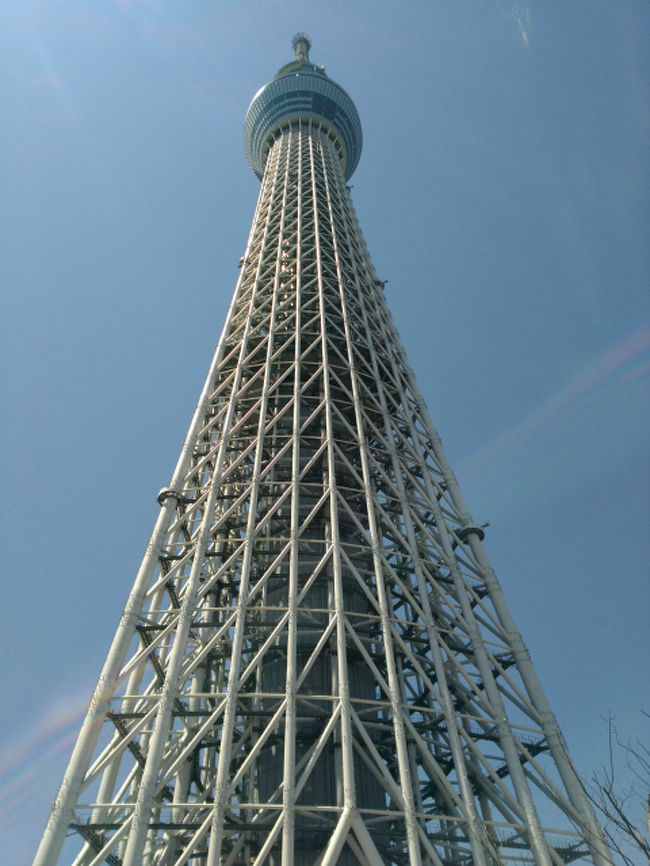 三日目（5/8）<br /><br />「東京スカイツリー、柴又、浅草」編<br /><br />この日も友人が仕事に出かけたので一人で東京観光に出発